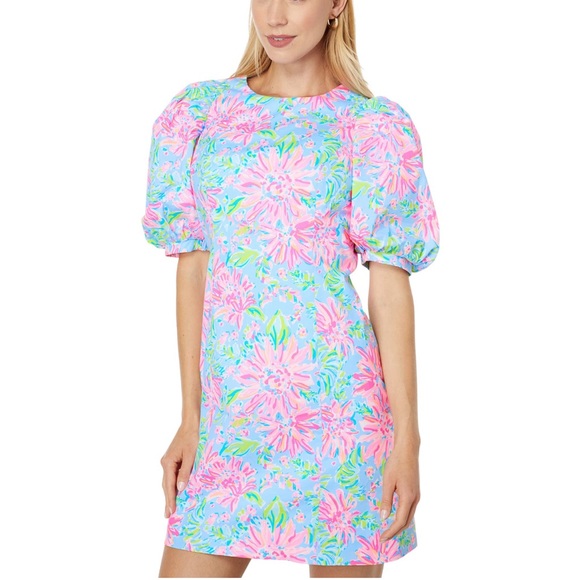 Lilly Pulitzer Dresses & Skirts - NWT Lilly Pulitzer Roni Dress